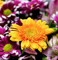 Image showing Colorful Summer Bouquet