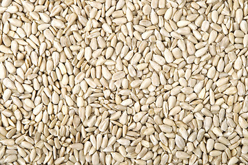 Image showing Background made of sunflower seeds