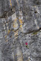 Image showing Strong girl climbs on a rock, doing sports climbing in nature.