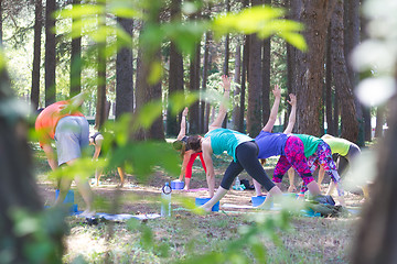 Image showing Group of young people practising yoga outdoors.