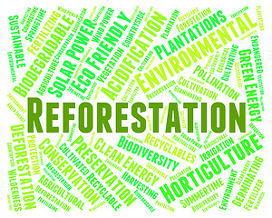 Image showing Reforestation Word Means Reforesting Forests And Woodland