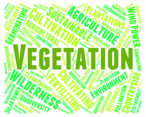 Image showing Vegetation Word Indicates Plant Life And Botanical