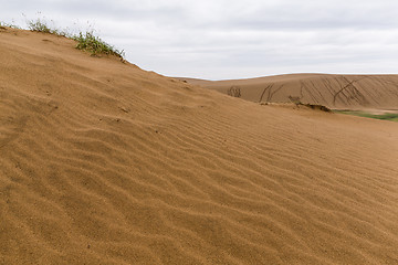 Image showing Tottori Sand Dunes