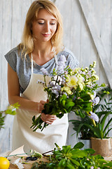 Image showing Florist girl in flower shop