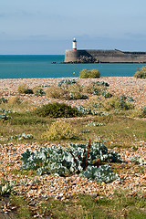 Image showing Newhaven Lightouse and Shore