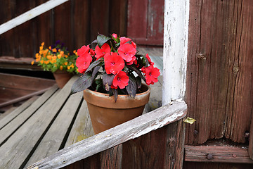 Image showing flowers in a pot on the porch of a wooden house, Finland