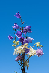 Image showing Bouquet of summer wildflowers