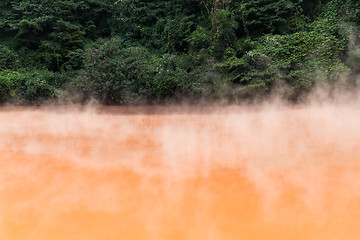 Image showing Blood Hell Hot Springs in Japan