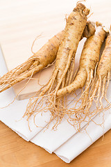 Image showing Ginseng