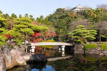 Image showing Autumn garden in Japan