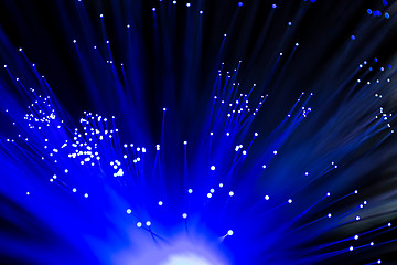 Image showing Optical fibres in blue