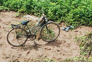 Image showing Old bicycle in the field