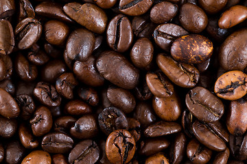 Image showing Brown coffee bean texture