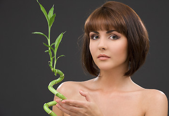 Image showing brunette with bamboo over grey