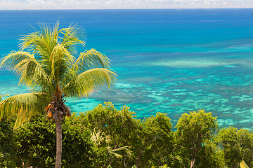 Image showing view to indian ocean from island with palm tree