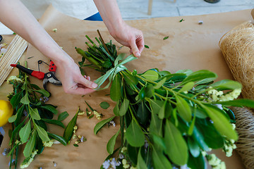 Image showing Close up view of florist