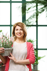 Image showing Model with flower in pot