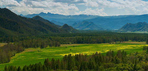 Image showing Beauty colors of summer Altai