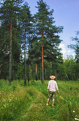 Image showing Man in Summer Forest