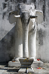 Image showing White elephant