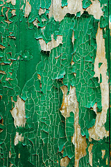 Image showing Old wooden green background