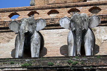 Image showing Elephants