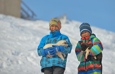 Image showing Greenland dog puppies and kids in  Greenland- 07 April 2013