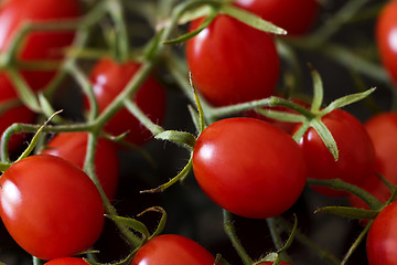 Image showing Red cherry tomatoes