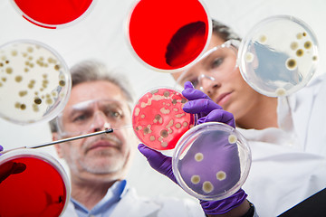 Image showing Life scientists researching in the health care laboratory.