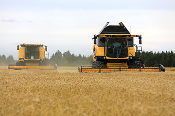 Image showing Two Yellow New Holland Combines Harvest Barley