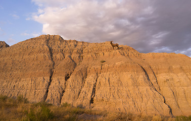 Image showing Wild Animal High Desert Bighorn Sheep Male Ram Badlands Dakota