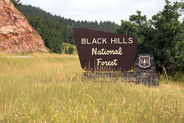 Image showing Black Hills National Forest Roadside Monument Sign South Dakota