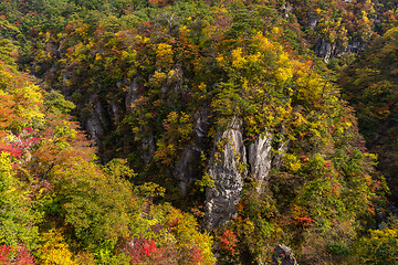 Image showing Autumn Naruko canyon