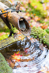 Image showing Water bamboo fountain with maple leaves