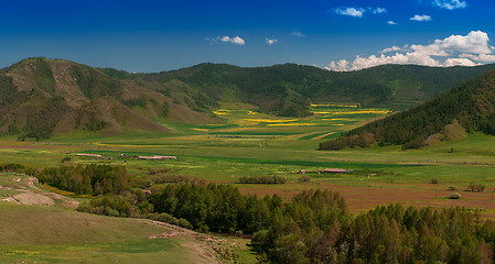 Image showing Beauty colors of summer Altai