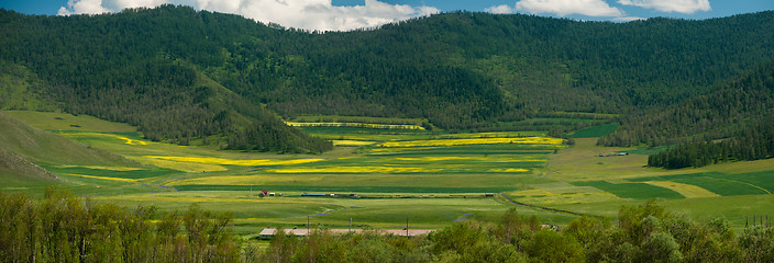 Image showing Beauty colors of summer Altai