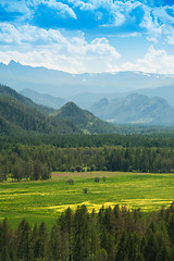 Image showing Beauty colors of summer Altai