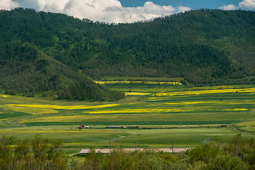 Image showing Beauty colors of summer Altai