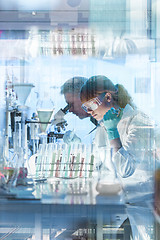 Image showing Health care researchers working in scientific laboratory.