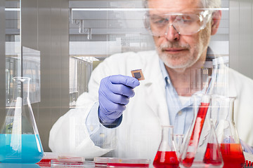 Image showing Senior life science research researching in modern scientific laboratory.