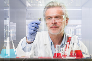 Image showing Senior life science research researching in modern scientific laboratory.