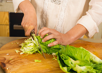 Image showing Chopped cabbage. 