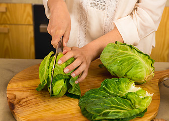 Image showing Chopped cabbage. 