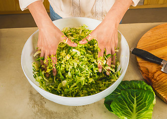 Image showing Cabbage kimchi and sauerkraut 