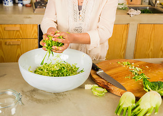 Image showing Cabbage kimchi and sauerkraut 