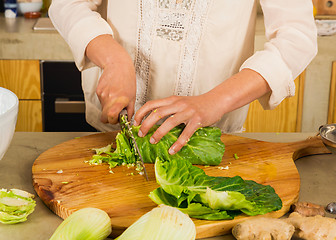 Image showing Chopped cabbage. 