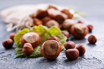 Image showing hazelnuts