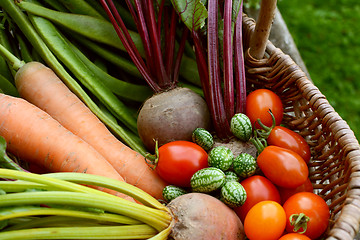 Image showing Freshly harvested vegetables from the allotment in a basket