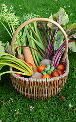 Image showing Wicker basket with a selection of allotment vegetables