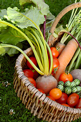 Image showing Woven basket with fresh produce from a vegetable garden